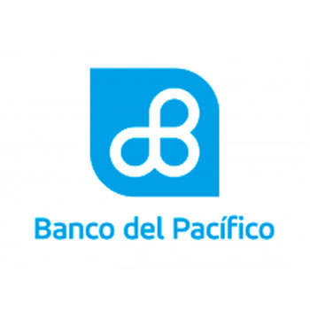 Client's Logo