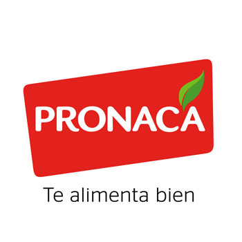 Client's Logo